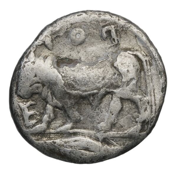 Poseidonia Historia Numorum Italy 1119, реверс, bnf-iris