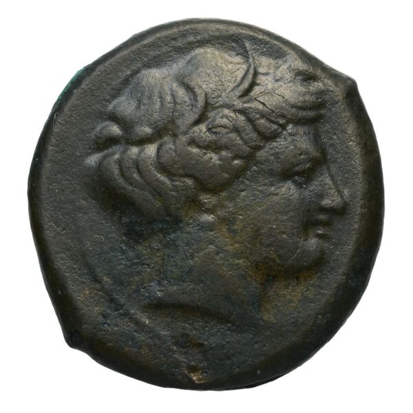 obverse Metapontum Historia Numorum Italy 1640