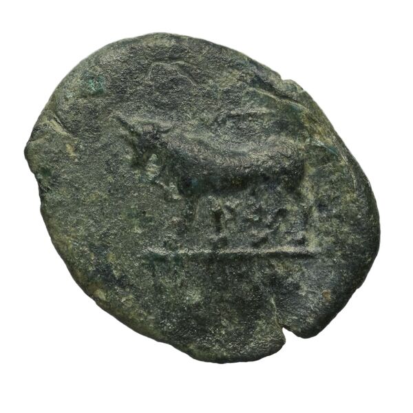 Poseidonia Historia Numorum Italy 1114, реверс, bnf-iris