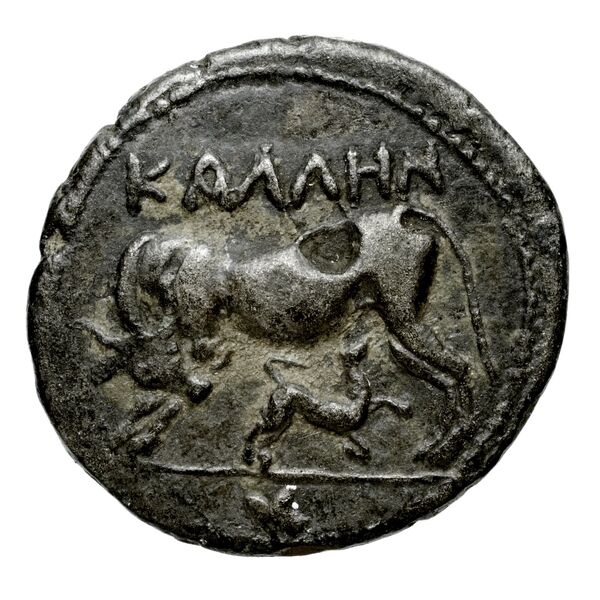 Apollonia, Illyria Maier 1907 9-105, аверс, bnf-iris