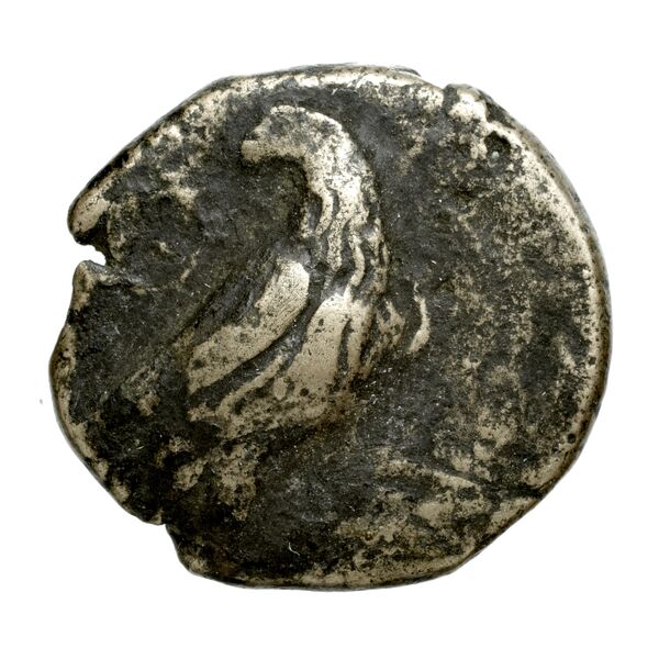 Pyrrhus Corcyra BMC Corcyra 176-177 / 173-181, аверс, bnf-iris