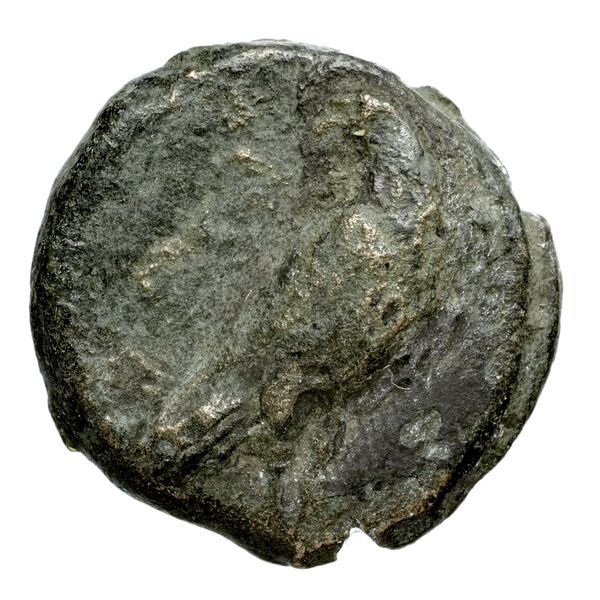 Pyrrhus Corcyra BMC Corcyra 176-177 / 173-181, аверс, bnf-iris