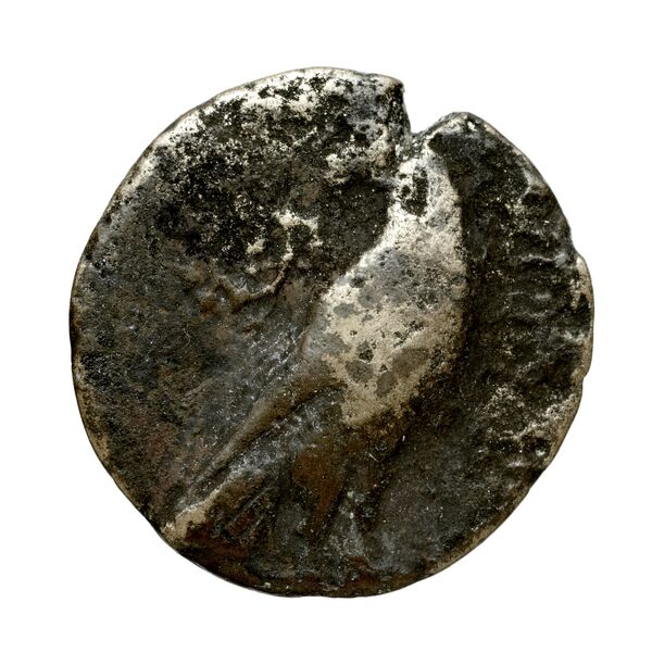 Pyrrhus Corcyra BMC Corcyra 176-177 / 173-181, аверс, bnf-iris