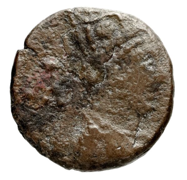 Tigranes II of Armenia Artaxata Kovacs 2016 61, аверс, bnf-iris