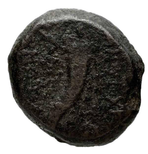Aretas IV of Nabataea Petra Barkay 2019 186, 188, реверс, bnf-iris