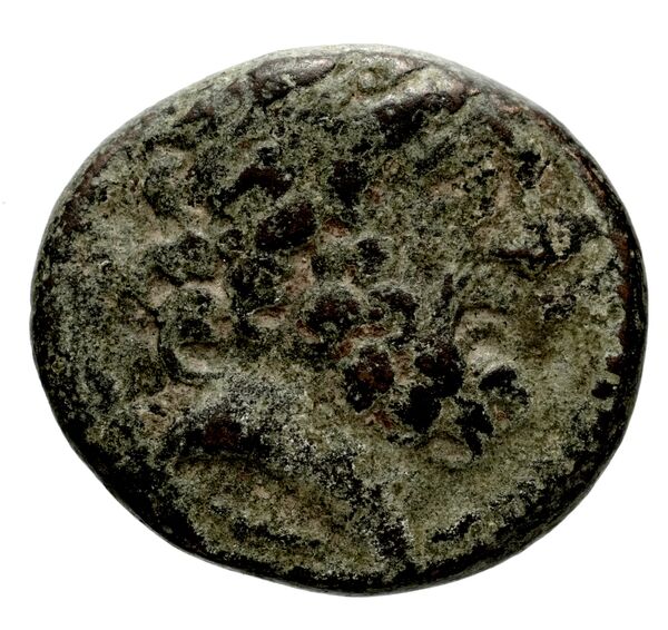 Antioch, Syria Butcher 2004 Seleucid Era a, аверс, bnf-iris