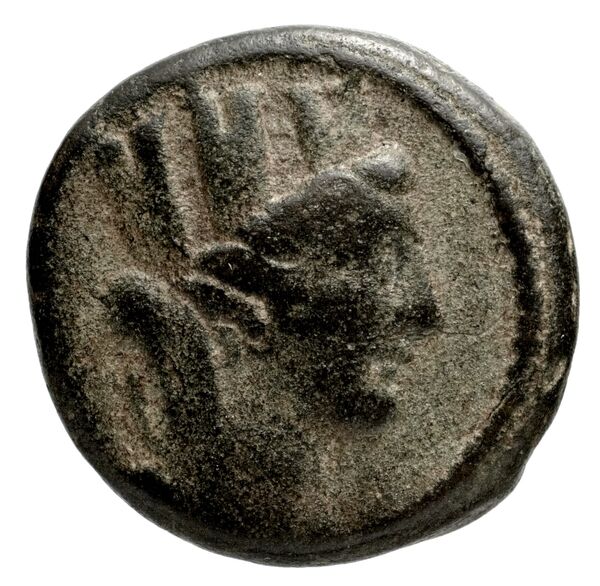 Antioch, Syria Butcher 2004 Seleucid Era b, аверс, bnf-iris