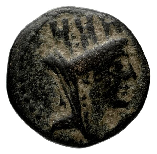 Apameia in Syria SNG Munich 803-5, аверс, bnf-iris