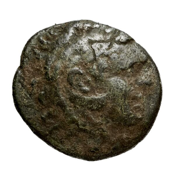 Philip V Macedon AMNG III.2 13-14, аверс, bnf-iris