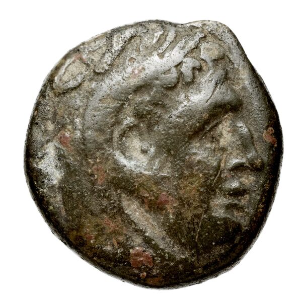 Cassander Macedon AMNG III.2 3-4, аверс, bnf-iris