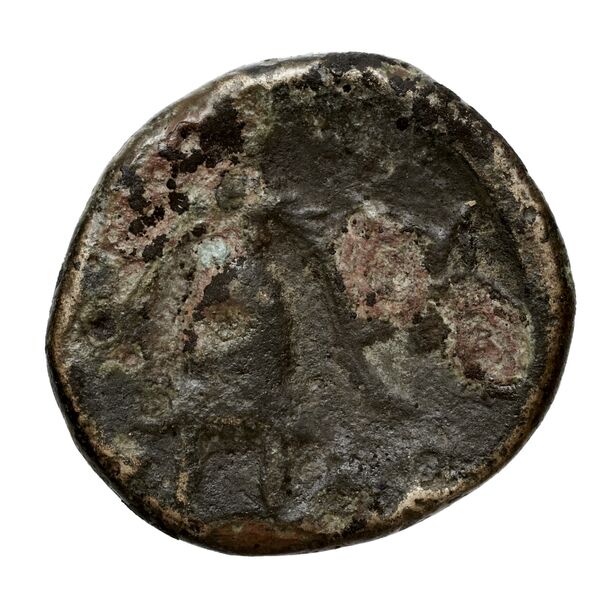 Antigonus II Gonatas Macedon Panagopoulou 2020 9.8.2, реверс, bnf-iris