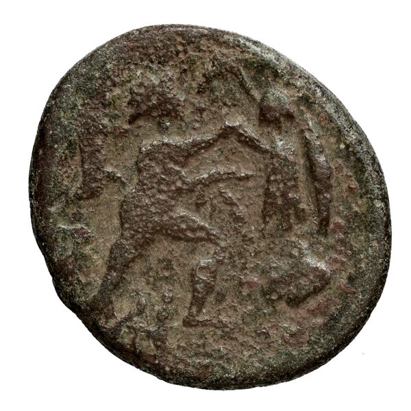 Antigonus II Gonatas Macedon Panagopoulou 2020 9.8.3, реверс, bnf-iris