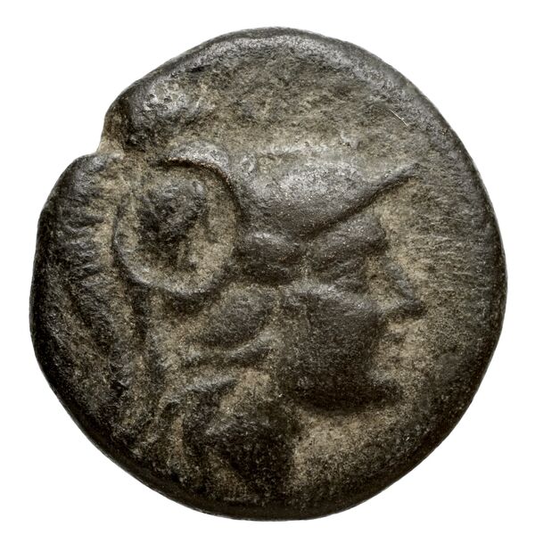 Antigonus II Gonatas Macedon Panagopoulou 2020 9.8.3, аверс, bnf-iris