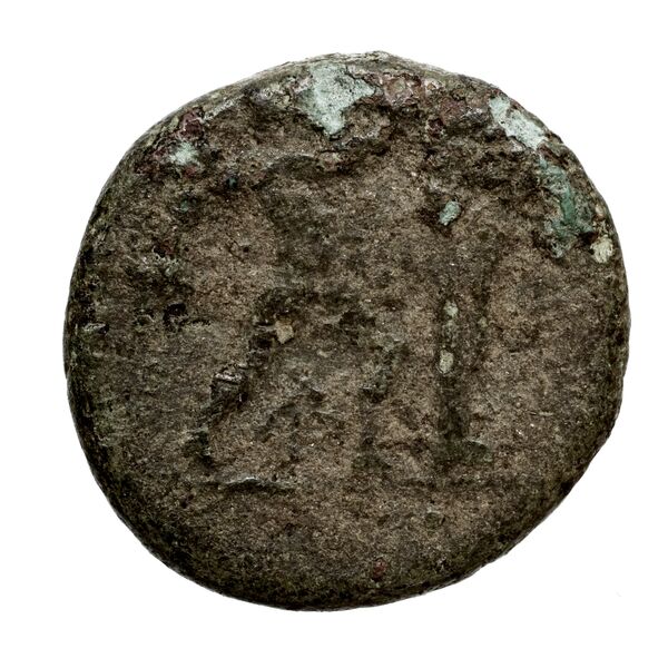 Antigonus II Gonatas Macedon Panagopoulou 2020 9.8.3, реверс, bnf-iris