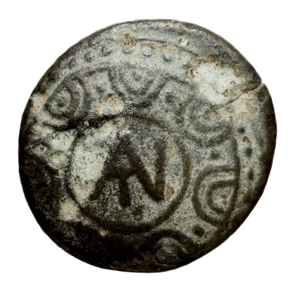 Antigonus II Gonatas Macedon Panagopoulou 2020 9.8.2, аверс, bnf-iris