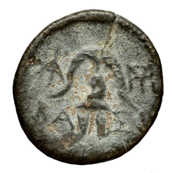 Antigonus II Gonatas Macedon Panagopoulou 2020 9.8.2, реверс, bnf-iris