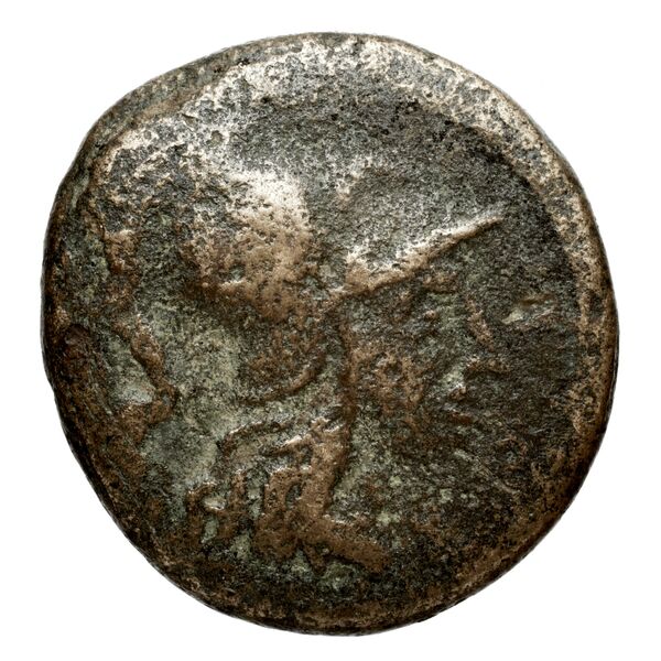Antigonus II Gonatas Macedon Panagopoulou 2020 9.8.3, аверс, bnf-iris