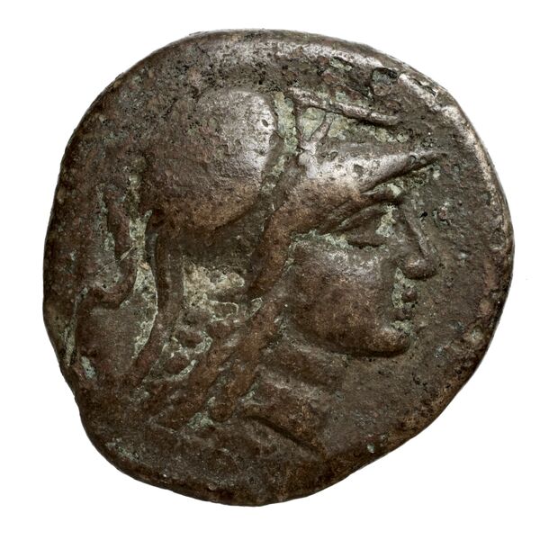 Antigonus II Gonatas Macedon Panagopoulou 2020 9.8.3, аверс, bnf-iris