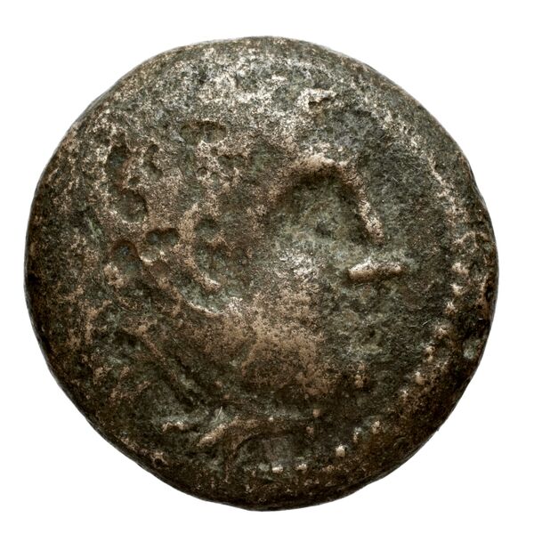 Antigonus II Gonatas Macedon Panagopoulou 2020 9.8.1, аверс, bnf-iris