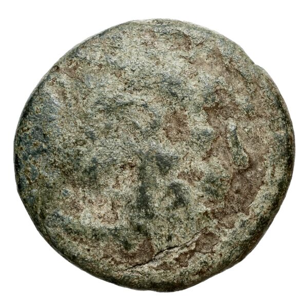 Antigonus II Gonatas Macedon Panagopoulou 2020 9.8.1, аверс, bnf-iris