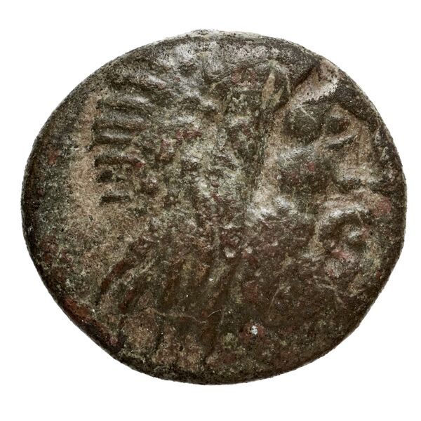 Philip V Macedon AMNG III.2 8-9, аверс, bnf-iris