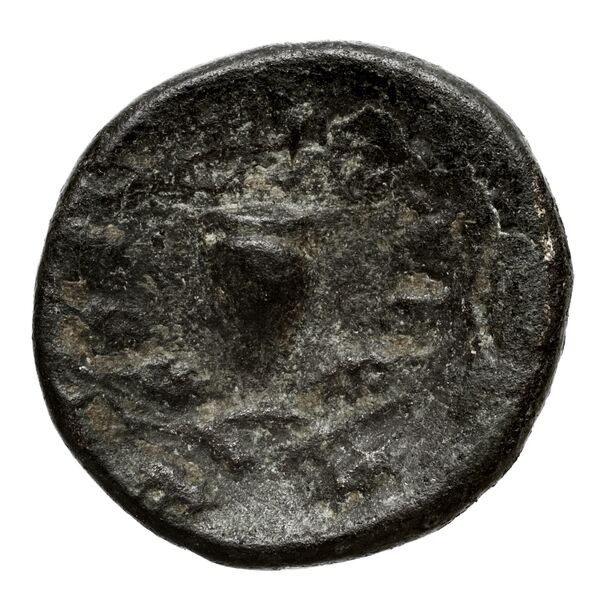 Pyrrhus Pella BMC Pyrrhus 36-39, реверс, bnf-iris