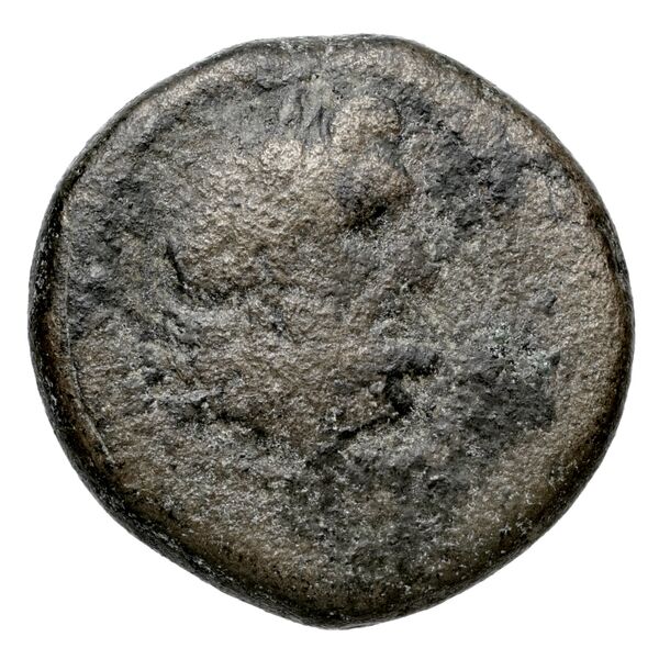Deiotarus of Galatia Galatia Newell 1934 3, аверс, bnf-iris