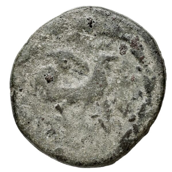 Ephesus Kinns and Holt 2023 Period VI, AE XXIX, аверс, bnf-iris