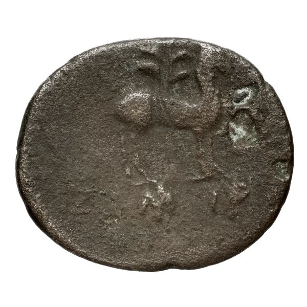 Ephesus Kinns and Holt 2023 Period VI, AE XXIII, реверс, bnf-iris