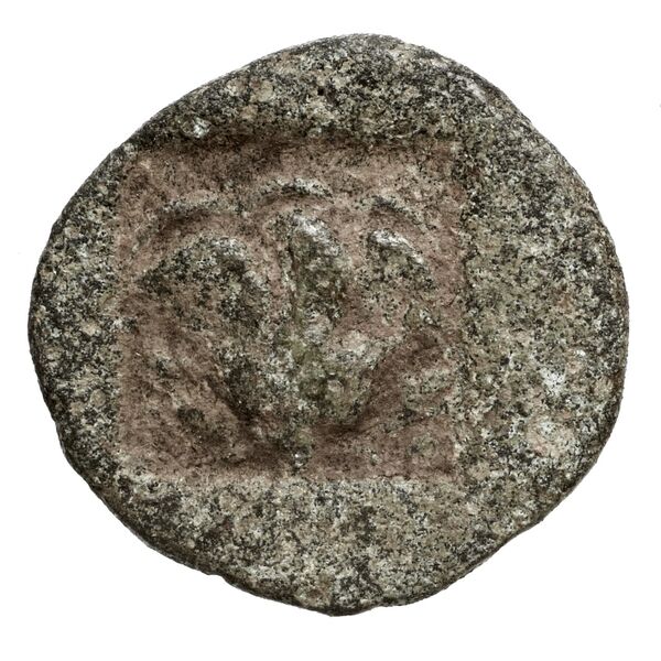 Rhodes BMC Rhodes 327-33, реверс, bnf-iris