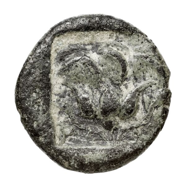 Rhodes BMC Rhodes 327-33, реверс, bnf-iris
