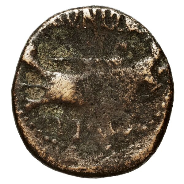 Sidon Hoover 2010 281, 292, 294, 299, реверс, bnf-iris