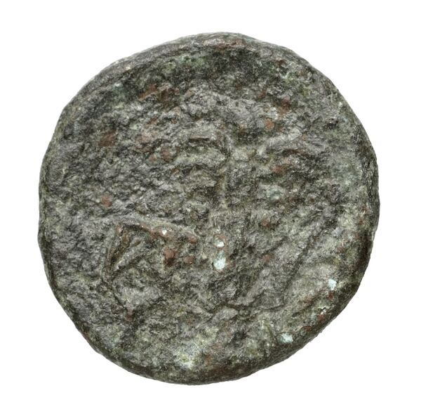 Hierapytna Stefanaki 2020 3e série ; groupes III-V ; émissions 9-11, 13, 15 (catalogue n° 22-51, 53-78, 83-128), реверс, bnf-iris