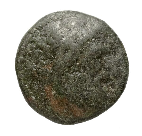 Gortyn Carbone 2016 131-142, аверс, bnf-iris