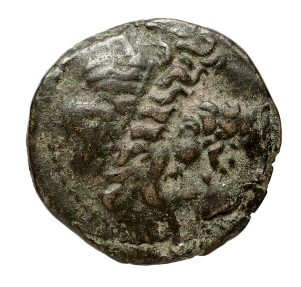 Hieron II Syracuse Puglisi 2009 339, аверс, bnf-iris