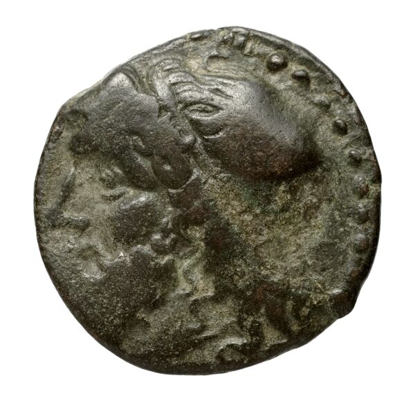 Hieron II Syracuse Puglisi 2009 339, аверс, bnf-iris
