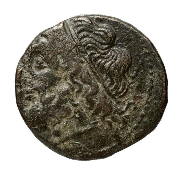 Hieron II Syracuse Puglisi 2009 339, аверс, bnf-iris