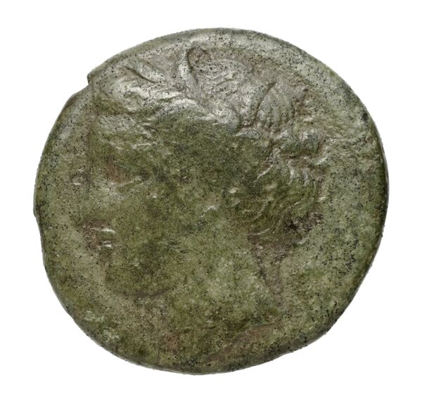 Hieron II Syracuse Puglisi 2009 335, аверс, bnf-iris
