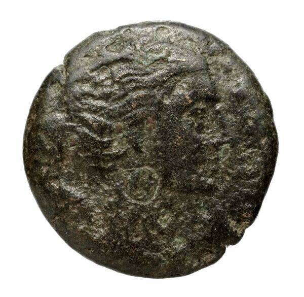 Agathocles of Syracuse Syracuse Puglisi 2009 322, аверс, bnf-iris