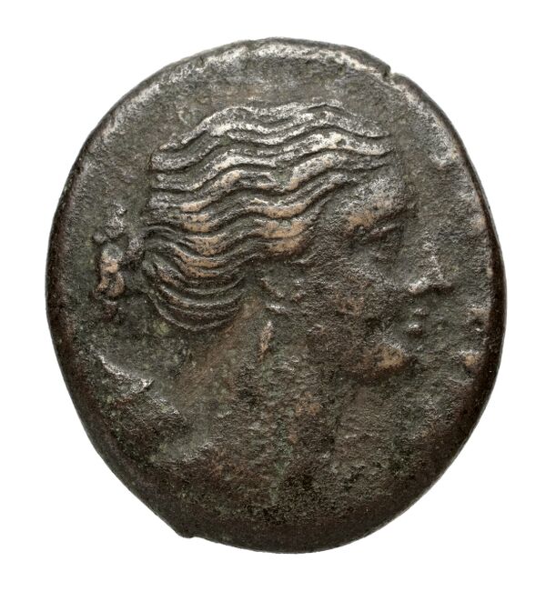 Agathocles of Syracuse Syracuse Puglisi 2009 322, аверс, bnf-iris