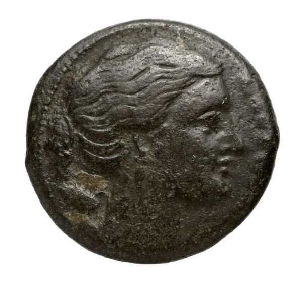 Agathocles of Syracuse Syracuse Puglisi 2009 322, аверс, bnf-iris