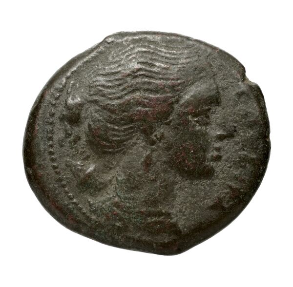 Agathocles of Syracuse Syracuse Puglisi 2009 322, аверс, bnf-iris