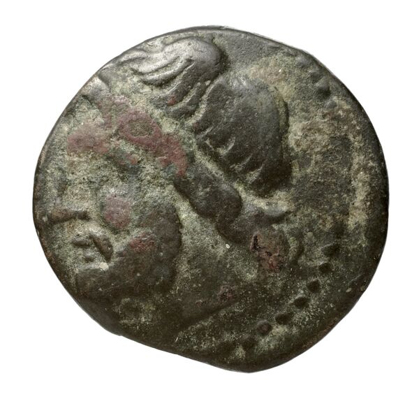 Hieron II Syracuse Puglisi 2009 339, аверс, bnf-iris