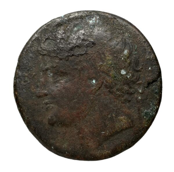 Hieron II Syracuse Puglisi 2009 342-343, аверс, bnf-iris