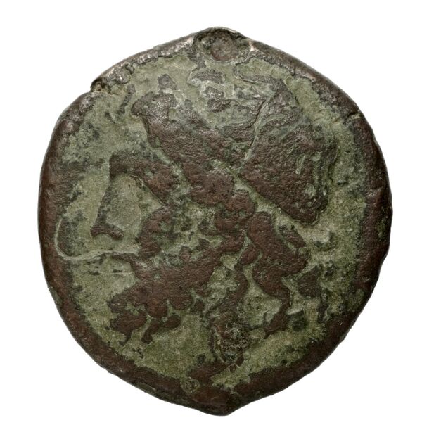 Hieron II Syracuse Puglisi 2009 339, аверс, bnf-iris