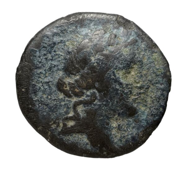 Prusias I of Bithynia Bithynia Waddington 1908 26, аверс, bnf-iris