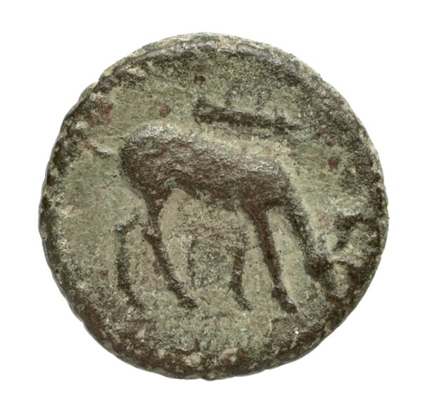 Ephesus Kinns and Holt 2023 Period V, AE XVIII, реверс, bnf-iris