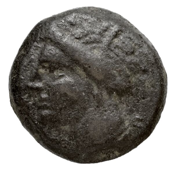 Carthaginian Empire Carthage Alexandropoulos 2007 18, аверс, bnf-iris