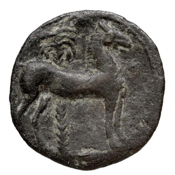 Carthaginian Empire Carthage Alexandropoulos 2007 18, реверс, bnf-iris
