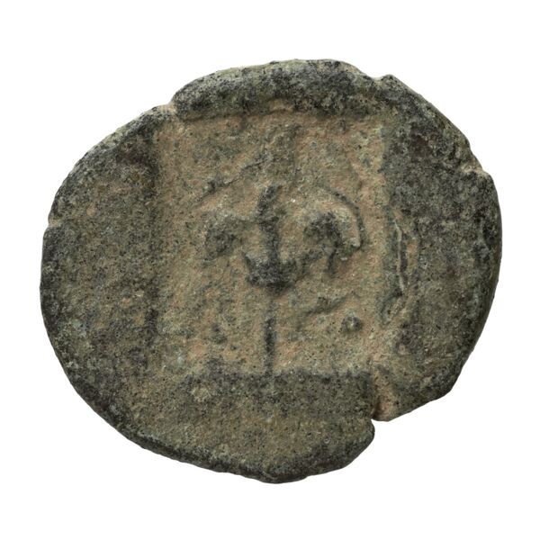 Rhodes BMC Rhodes 327-33, реверс, bnf-iris